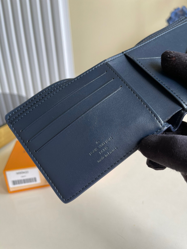l0*is V*t0n multiple wallet