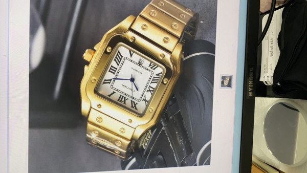 Ca*t*er watch